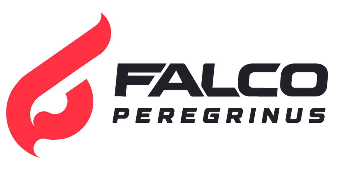 Falco Peregrinus